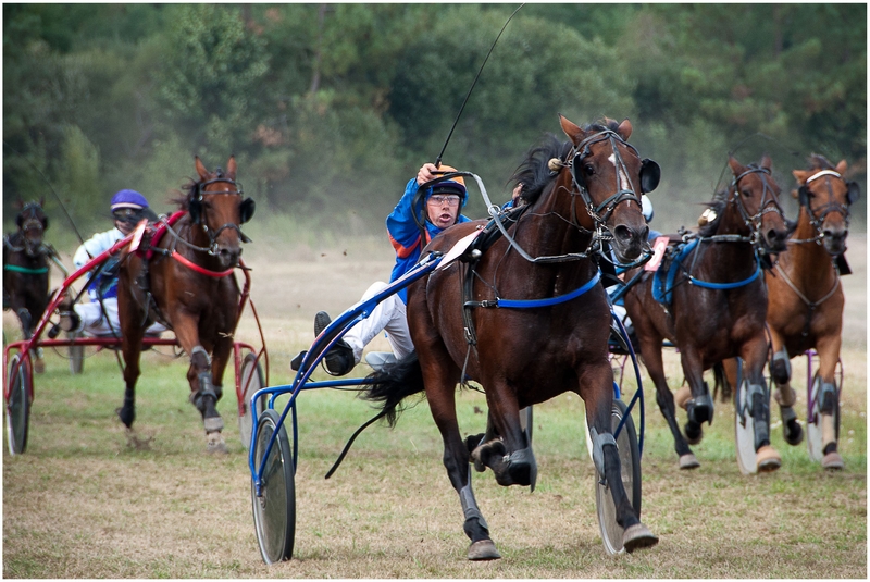 331 - AU TROT - LIEBLING ANDRE - france.jpg
